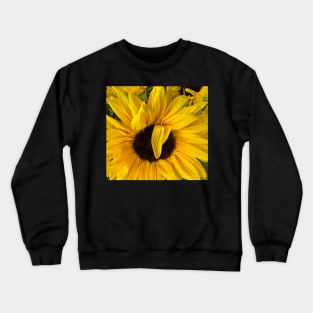 Sunflowers for Peace and a Humanitarian World Crewneck Sweatshirt